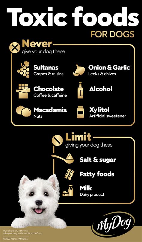The Foods Toxic to Dogs | My Dog