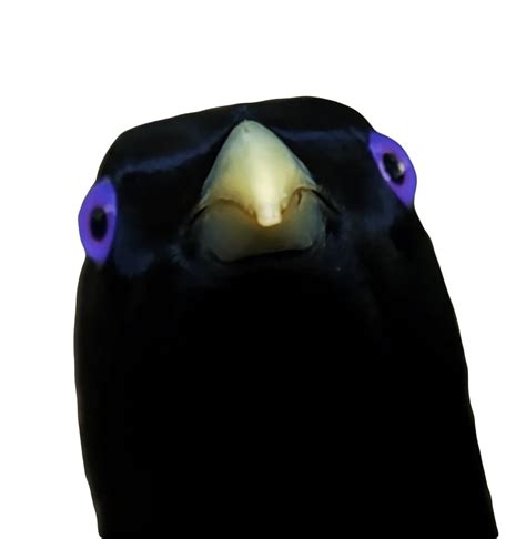 Lemme Smash Ron Transparent Png Stickpng