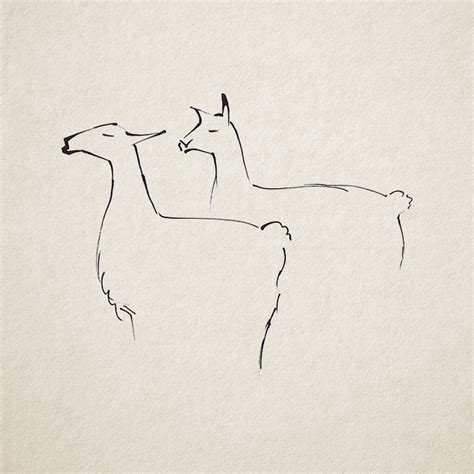 Ink drawings-animals on Behance