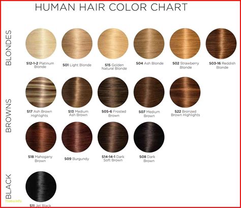 Majirel Ash Colour Chart Bamil