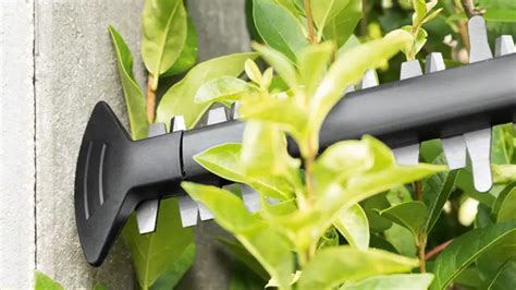 Bosch AHS 50-20 LI Cordless Hedge Trimmer Review – Forestry Reviews