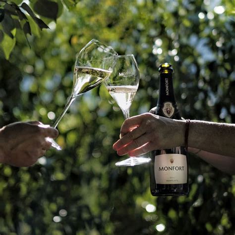 Cantine Monfort | Italienische Weine und Spezialitäten online | Vinusta ...