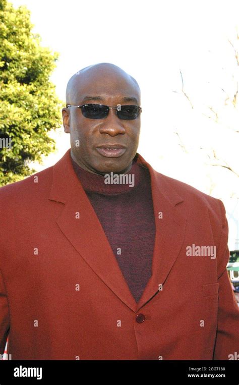 Michael Clarke Duncan 020903 Daredevil Premiere At The Mann Village