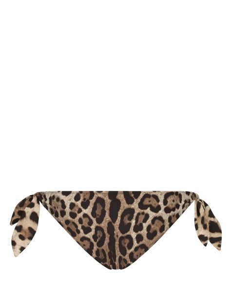 Dolce Gabbana Leopard Print Bikini Bottom Brown Farfetch