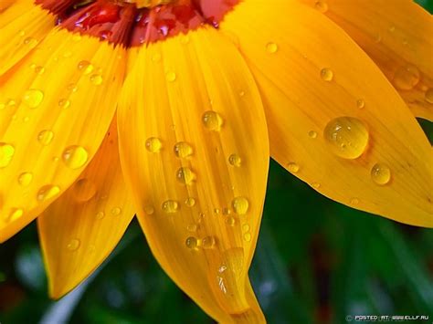 Позитивная подборка "Солнечное настроение"