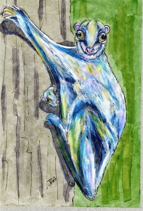 Philippine Flying Lemur (Colugo) (Cynocephalus volans) | The Daily Mammal