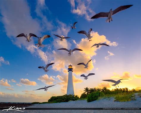 Cape Florida Lighthouse Key Biscayne Florida Sunset Seagulls | HDR