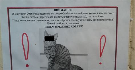 Доктор Браун? | Пикабу