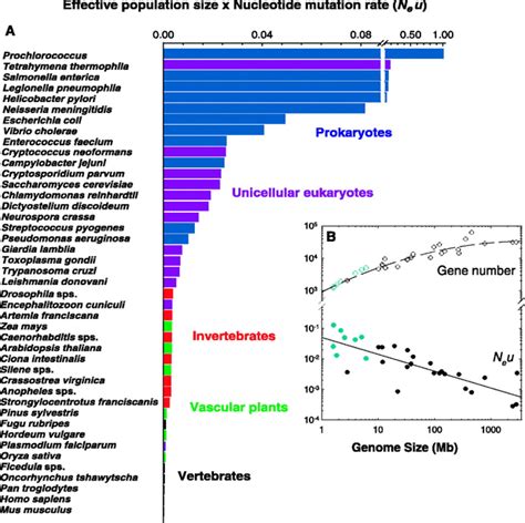 The Origins Of Genome Complexity Science