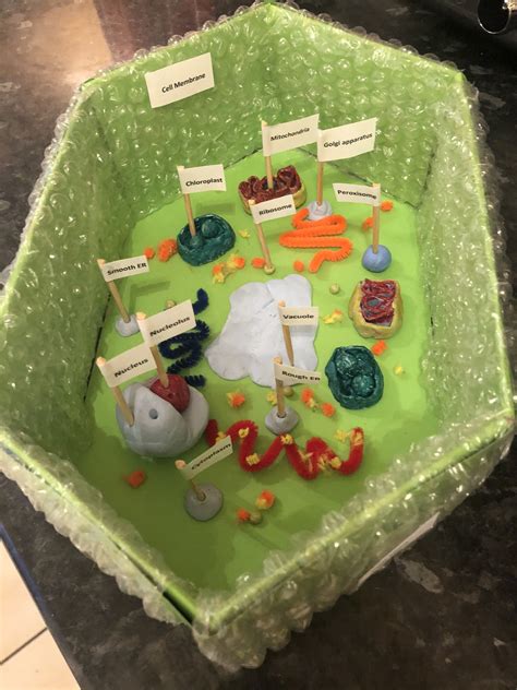 Create A 3d Plant Cell Model With Youtube A Fun And 52 Off