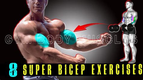 Super Exercises For Big Biceps Muscle Gym Body Muscles Youtube