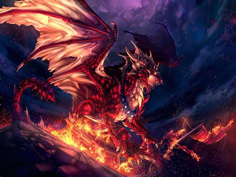 Fire Dragon Wallpaper Hd Free