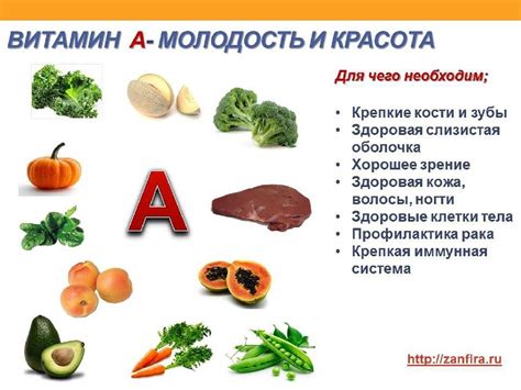 Майда еритін витаминдер. А,D,E,K витаминдері - презентация онлайн