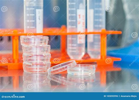Laboratory Materials In A Safety Laminar Air Flow Cabinet Stock Photo ...