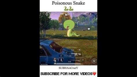 Poisonous Snake In Bgmi🐍🐍shorts Bgmi Shortvideo Youtubeshorts Pubg