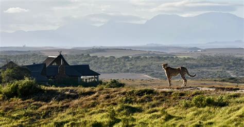 Garden Route Safari Camp – Country Escapes