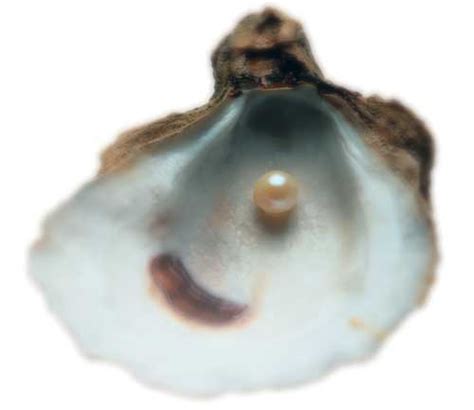 Жемчужная бумага