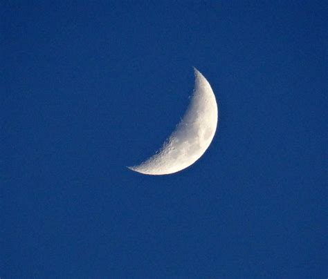 Moonquarter Moonnight Skynaturequarter Moon Free Image From