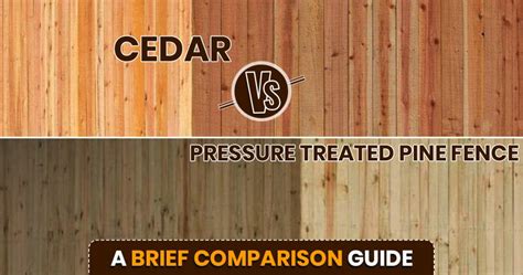 The Difference Between Pressure Treated Pine Fences Vs Cedar Fences