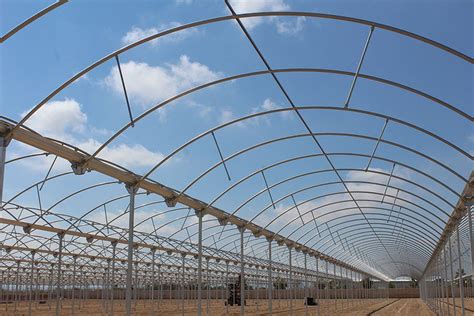 Invernaderos Multitúnel Prodinco Soluciones Agrícolas