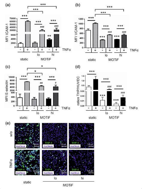 Expression Of Endothelial Cams And Adhesion Of Thp 1 Lymphocytes To Ecs