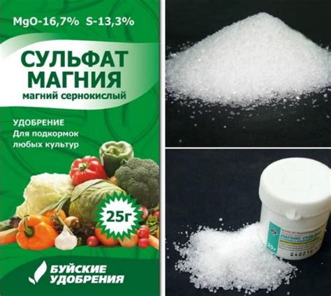Сульфат Магния удобрение. Применение на огороде, для цветов в саду