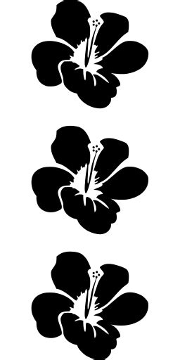 Svg Tropical Hawaiano Botánico Hibisco Imagen E Icono Gratis De Svg Svg Silh