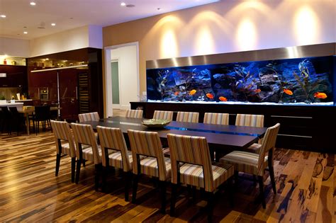 Самые красивые аквариумы мира. Фото аквариумов.