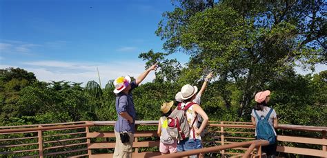 Adventures With The Naked Hermit Crabs Aug Sun Free Guided Walk