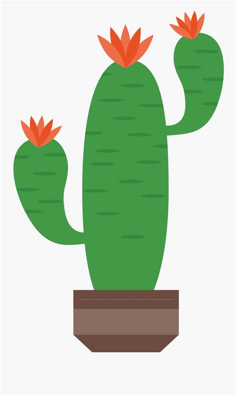 Cactaceae Artworks Illustration Cactus Png Vector Free Transparent