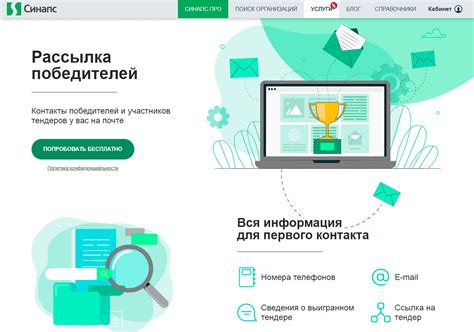 Synapse — обзор сервиса | Startpack