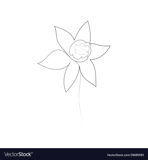 Continuous Line Drawing Beautiful Flowers Vector Image