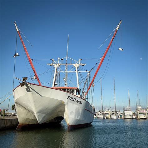 Polly Anna In Port Aransas Harbor Texas By Mary Lee Dereske Port
