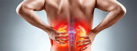 Боль в почках: причины, чем лечить