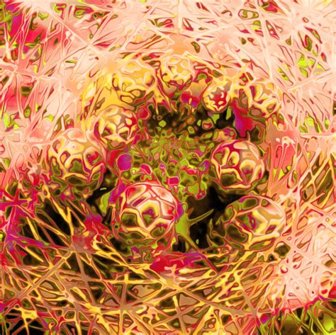 Roswila S Dream Poetry Realm SEEDS OF DESIRE Photomorph HORNY On A Dream By Roswila