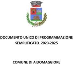 DOCUMENTO UNICO DI PROGRAMMAZIONE SEMPLIFICATO 2023 2025 COMUNE DI