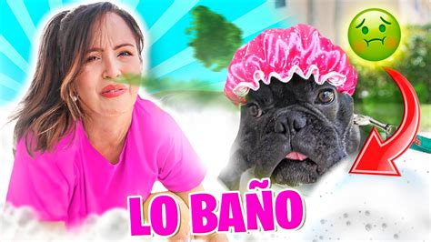 SE DEJARÁ BAÑAR BAÑANDO A UN PERRO FRENCHIE CON MANGUERA Sandra