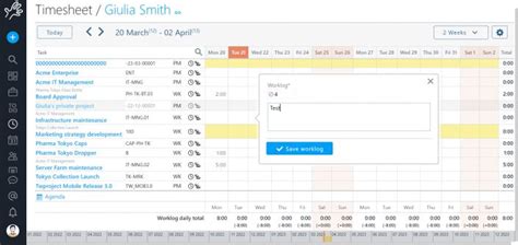 How To Use Timesheets To Optimize Projects