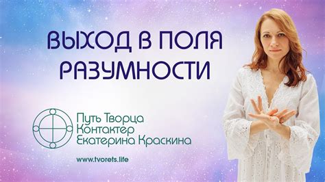 Выход в поля разумности - YouTube