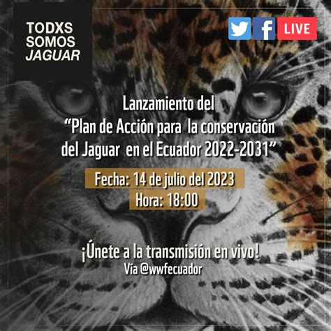 WWF Ecuador on Twitter Sabías que el Jaguar ya cuenta con un plan de