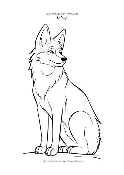 Coloriage Loup Simple Dessin à Colorier And Imprimer En Pdf