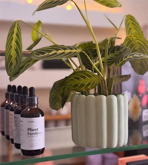 Grace Proper (@grace_proper) • Instagram photos and videos