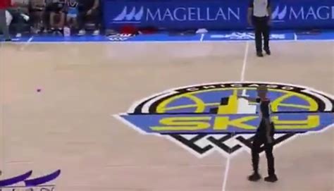 Crypto Group Reportedly Says It Planned Sex Toy Tosses At Wnba Games Insider Paper