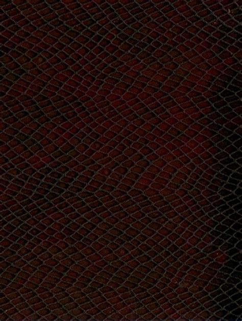 Саламандра – Артвініл (Артіль ЛТД)