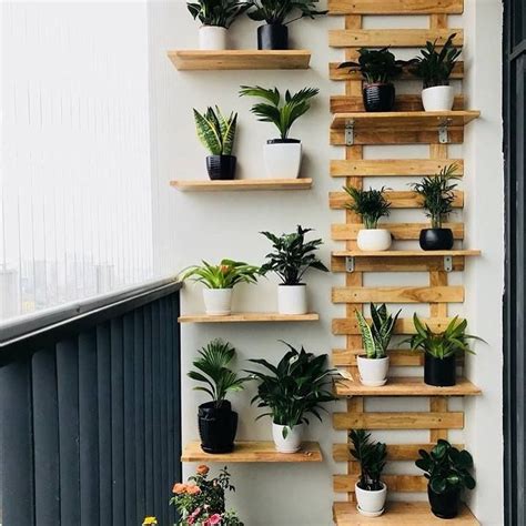 Полки для цветов в интерьере квартиры (76 фото) - фото - картинки и ...