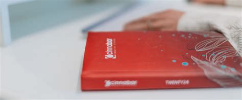 Contact Cinnabar