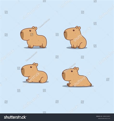 2681 Capybara Illustration 图片、库存照片和矢量图 Shutterstock