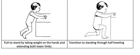 Learning To Stand Development And Training Physiopedia