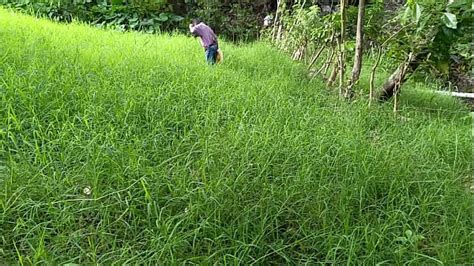 Sexo En El Campo Search Xvideos