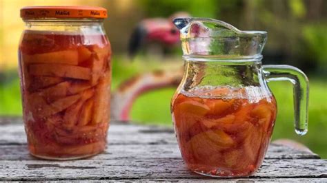 16 Fun Summer Drinks You'll Never Want To Stop Making